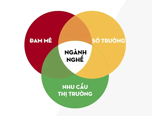 Tiêu chí về Ngành học và Chương trình đào tạo