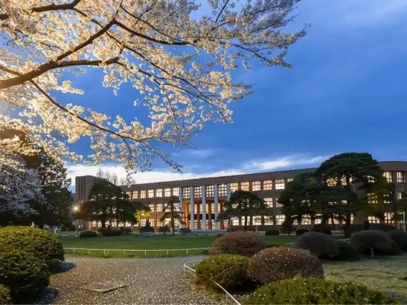Đại học Tohoku (Tohoku University)