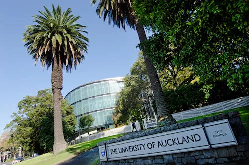 Lợi thế khi du học tại New Zealand